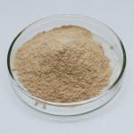Customized Bacterial Protease Enzyme Alkaline Protease 2.4L  Food Grade for sale