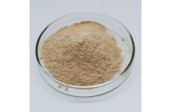 China Food Grade Industrial Grade Alkaline Protease Enzyme Customizable supplier
