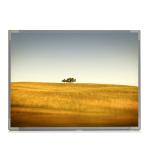 1280X1024 17.0 Inch Desktop Monitor LCD Screen M170EU01 V0 AUO LVDS Interface for sale