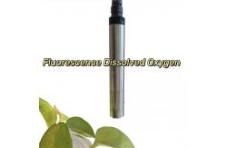 China Online Water Dissolved Oxygen Sensor Ip68 Modbus Protocol Fluorescent Material supplier