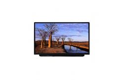 China B125HAN02.2 12.5 inch 1920*1080 LCD Panel LCD Screen supplier