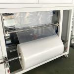 Multi Function PLC Pouch Packing Machine Small For Screw Button Plastic