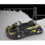 Kids Pedal Karting Electrical Go Kart , 750w Adult Mini Go Kart for sale