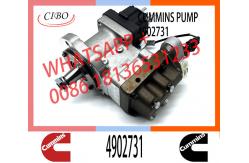 China Neutral Fuel Diesel Injection Pump 2872930 3977327 4902731 For Cummins ISLE Engine supplier