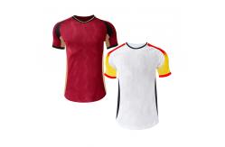 China Long Sleeve Customized Team Logo Player Version Jersey with Moisture-Wicking Fabric supplier