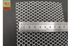 China Chicken Diamond Hole 1 Meter Plastic Flat Mesh supplier