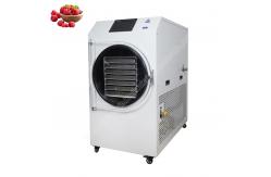 China Freeze Dryer Lyophilization Machine Vacuum Freeze Dryer  Lyophilizer Dryer Fruit Freeze Dryer supplier