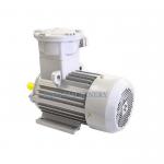 ATEX Explosion Proof Motor 5.5kw 380V 660V Exd II Bt4 GB Ybx4 Electric Three Phase Motor for sale