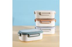 China 20.2cm Plastic Bento Boxes supplier