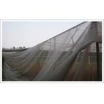 1.3 * 1.3mm Polyester Mesh Screen , Plain Weaving 2 - 3% UV Screen Fabric Mesh for sale