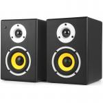 5.25 Inch Active Studio Monitor Speaker Desktop Multimedia Monitor Speakers for sale
