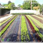 PP Woven 4mm Plastic Landscape Fabric HDPE Anti Weed Gardening Mat for sale