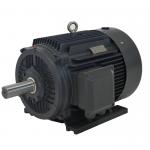 Industrial Surface Mounted Permanent Magnet Synchronous Motor for sale