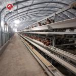 H Type Layer Chicken Cage Hot Dipped Galvanised Chicken Farm for sale