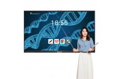 China 75 Inch Windows Interactive Smart Board For Classroom Smart Pen Wall Mount supplier