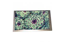 China 6.2 inch HSD062IDW1-B00-C00 lcd panel 800*480 LCD Screen supplier