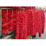 20000SHU Dried Chinese Chilis Vacuume Packing Spicy Chaotian / Tianjin Chilli for sale