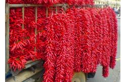 China 20000SHU Dried Chinese Chilis Vacuume Packing Spicy Chaotian / Tianjin Chilli supplier