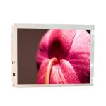 10.4 inch WLED 640*480 20pins LVDS TFT LCD screen Display NL6448BC33-71 for Industrial for sale