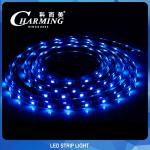 IP65 SMD 5050 RGB LED Strip Light 60PCS/M Practical Length 5M