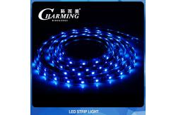 China IP65 SMD 5050 RGB LED Strip Light 60PCS/M Practical Length 5M supplier