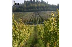 China Green Sun Shade Net HDPE Agribegri Shade Net Durable For Agricultural supplier