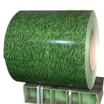 Customized PPGI Steel Coil G350 Z180 Galvanized Steel Coil HS Code for sale