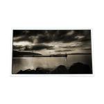 1920*1080 LCD panel MV238FHM-N61 LCD Screen Display Panel for sale