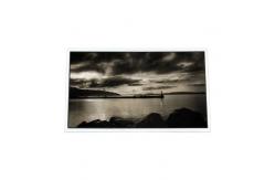 China 1920*1080 LCD panel MV238FHM-N61 LCD Screen Display Panel supplier