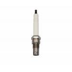 Factory Direct Sale Industrial Spark Plug R10P3 For Jenhach-Er Engines