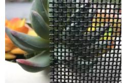 China Australian Standard 11mesh 316 Ss Wire Mesh Mosquito Net  Anti Insects supplier