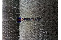 China Galvanised Hexagonal Chicken Wire Netting For Plastering And Poultry 1 supplier