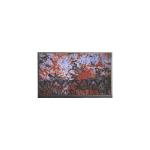 P140NWR1 R0 LCD Screen 14.0 Inch 1366*768 Lcd Display Panel for sale