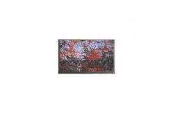 China P140NWR1 R0 LCD Screen 14.0 Inch 1366*768 Lcd Display Panel supplier