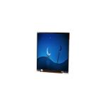 6.5 inch LPP065A648A 1080*2340 60hz LCD Screen for sale