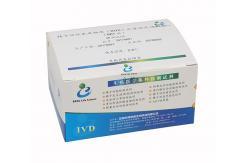 China Adult Males ROS Assay Kit Sperm Reactive Oxygen Species Assay Kit NBT Method supplier