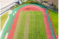 China Recyclable Permeable Synthetic Rubber Running Track  Durable 13MM supplier