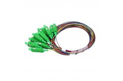 China 12 Cores Fiber Pigtail Sc supplier