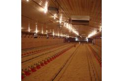 China Fully Automated Modular Steel Structure Poultry House Fireproof Prefab Farm Buildings supplier