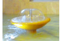 China 1/2 SS304 Mushroom Dancing Fountain Nozzles Jet 3D Model supplier