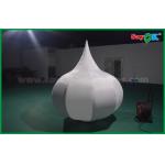 Advertising Vegetable / Onion Custom Inflatable Products Print Logo for sale