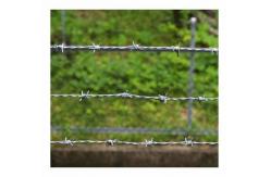 China School Enclosure Special Barbed Wire Mesh Cheap Price Security Barbed Wire supplier