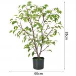 Frabric Leaves Artificial Banyan Tree Complex Branch Interior Decoration