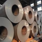 ASTM A36 PVDF Carbon Steel Coils 800mm SS400 S235 S355 St37 St52 for sale