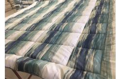 China Polyester Fabric Soft Printed 260x260cm Polyfill Quilted Quilt supplier