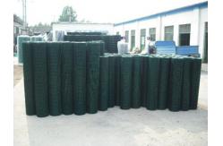 China 60x60mm Holland Wire Mesh Fence，14 Gauge PVC Coated Wire Mesh 3.0mm supplier