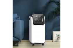 China Portable Room Pure O2 Concentrator 5l High Purity Small supplier