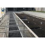 Agriculture Greenhouse Clone Seed Rolling Bench Grow Tables Welded Mesh Galvanized