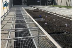 China Agriculture Greenhouse Clone Seed Rolling Bench Grow Tables Welded Mesh Galvanized supplier