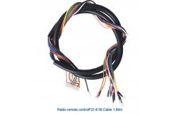 China Telecontrol UTING key pushbuttons industrial remote control F21-E1B receiver main board supplier
